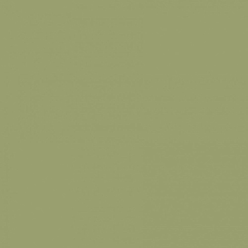 Краска Mylands StockwellGreen-No.-203 фото