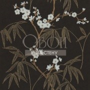 Обои Feature Walls | HOU_75784