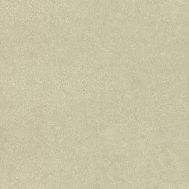 Обои Elegant Earth | OG0510