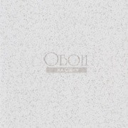 Обои Tulipa Stellata | pdg1031-09