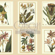 Обои Toiles 2 | AF1932