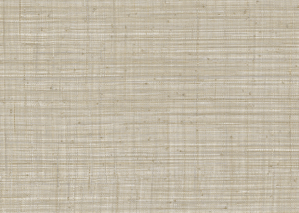 Обои JV800 Tierra | JV6658