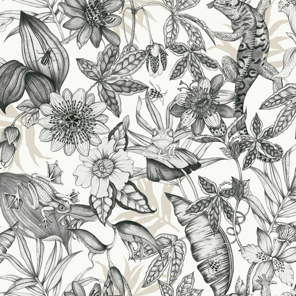 Обои Blooms 2 Resource Library | BL1703