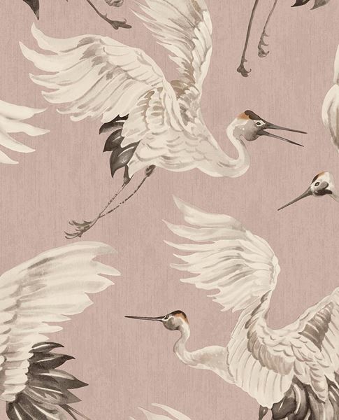 Обои Oasis | 317352