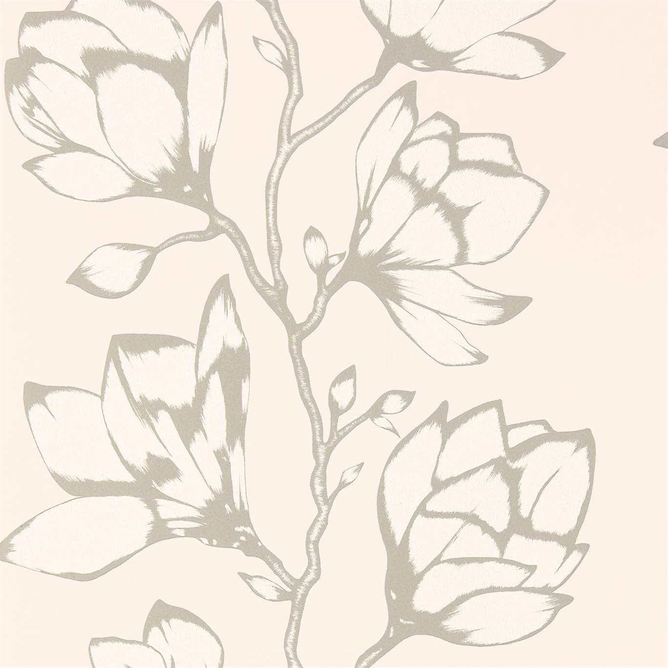 Обои Salinas | 112145