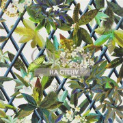 Обои Nouveaux Mondes | pcl661-07