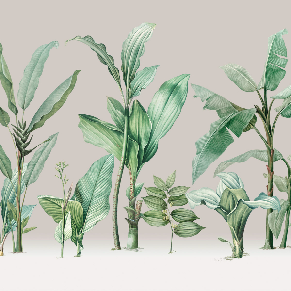 Обои Panorama | V111-1