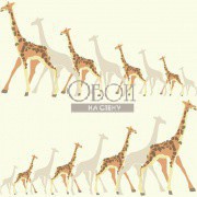 Обои Baby&Kids | DW2361