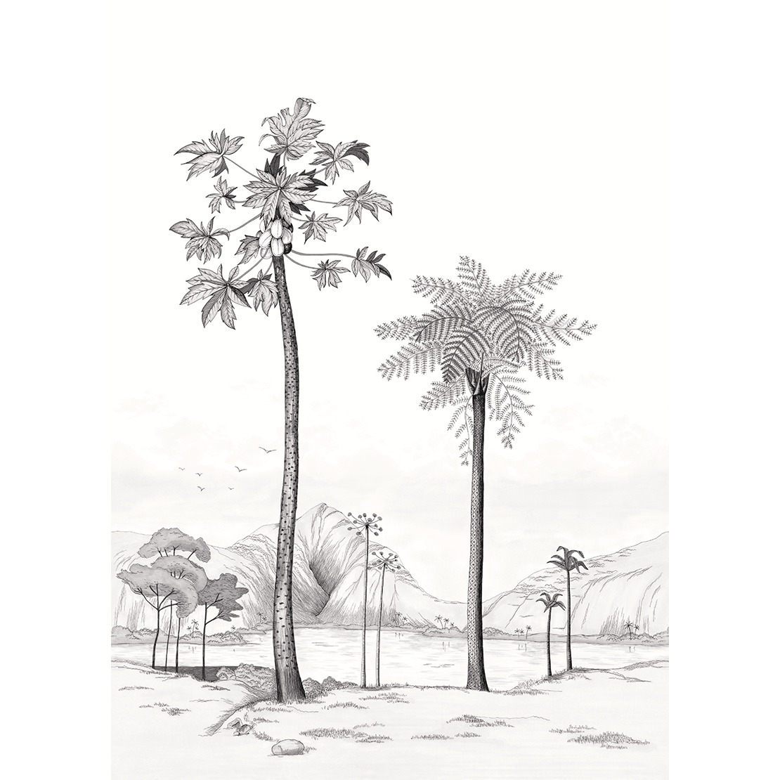 Обои Cuba | 84379353