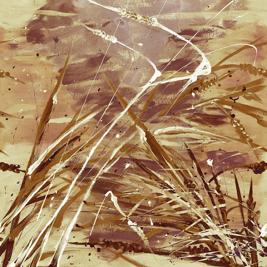 Обои Raw | RWD42