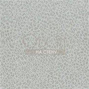 Обои Boratti | PDG680-01