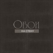 Обои Metal Silk | MS47