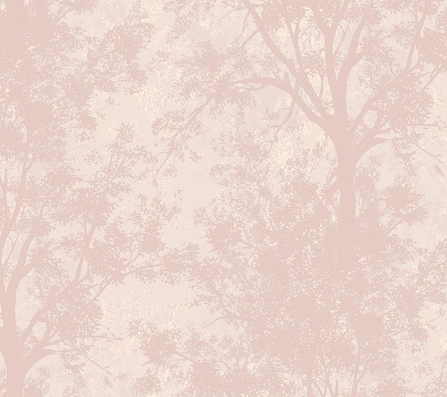 Обои Загадочный лес | IMG11 007