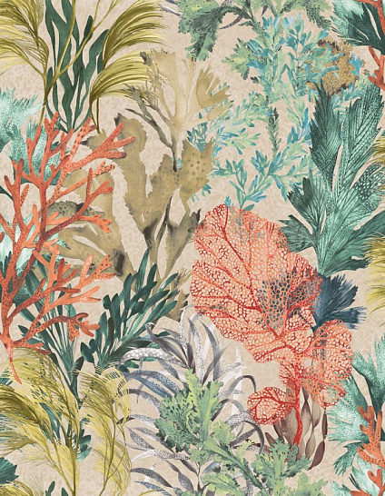 Обои Tropical | 26734