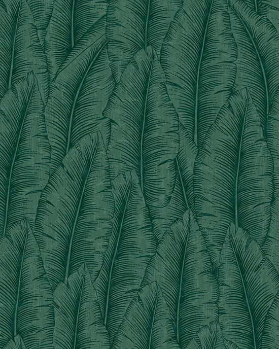 Обои Cumaru | cu3207