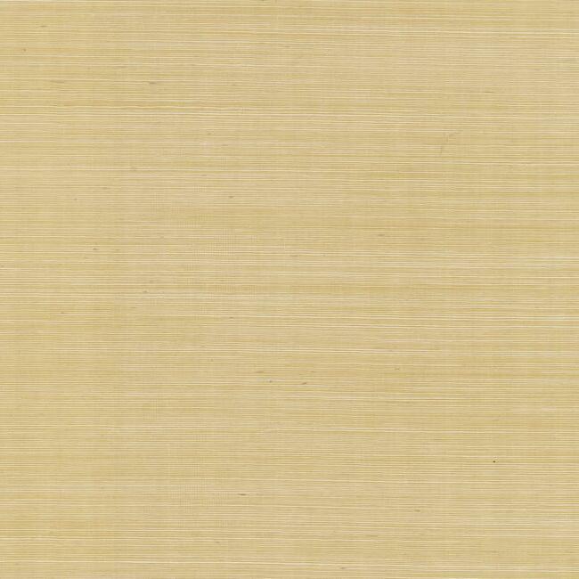 Обои Rifle Paper Co | RI5185