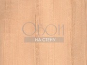 Обои Four Seasons | 714