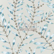 Обои Anthozoa | 111635