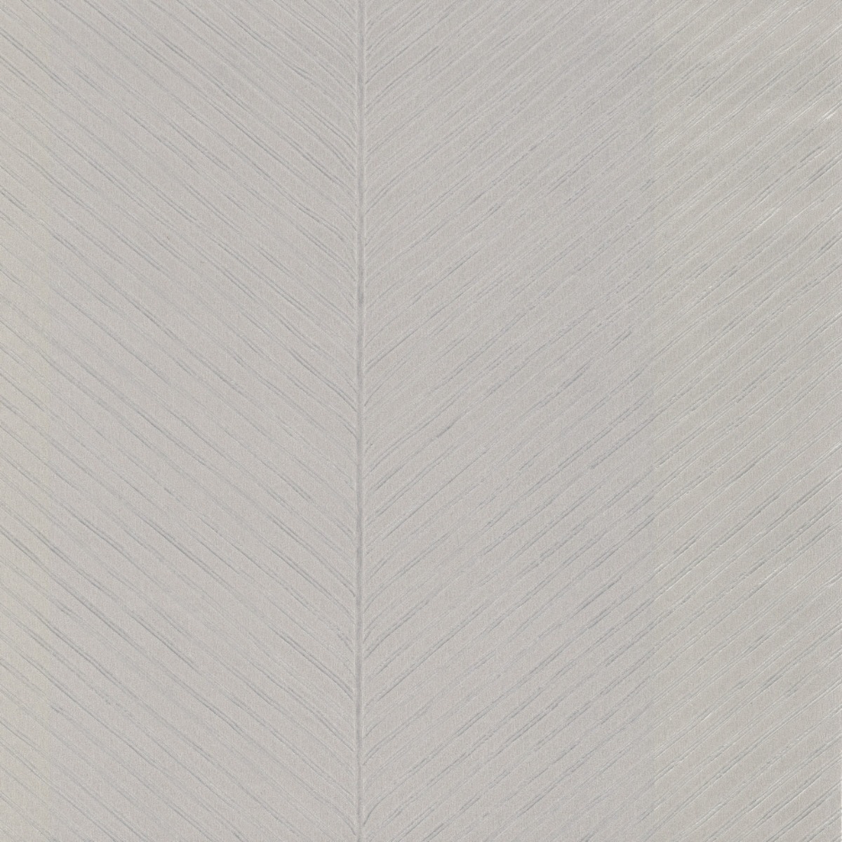 Обои Tropics Resource Library | TC2698