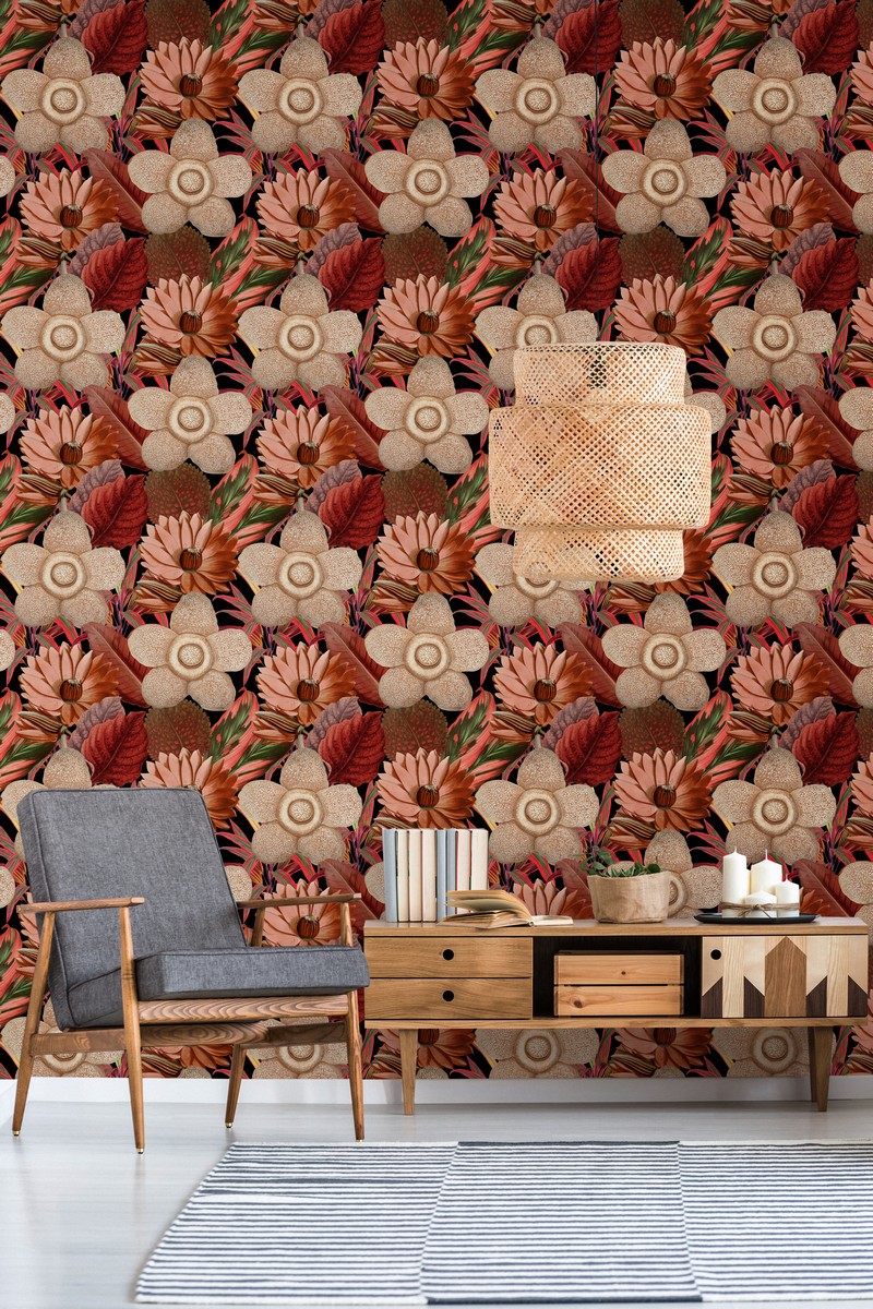 Обои Collectables | WP20316