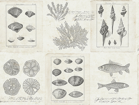 Обои Destination USA | th50908