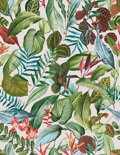 Обои Tropical | 26740