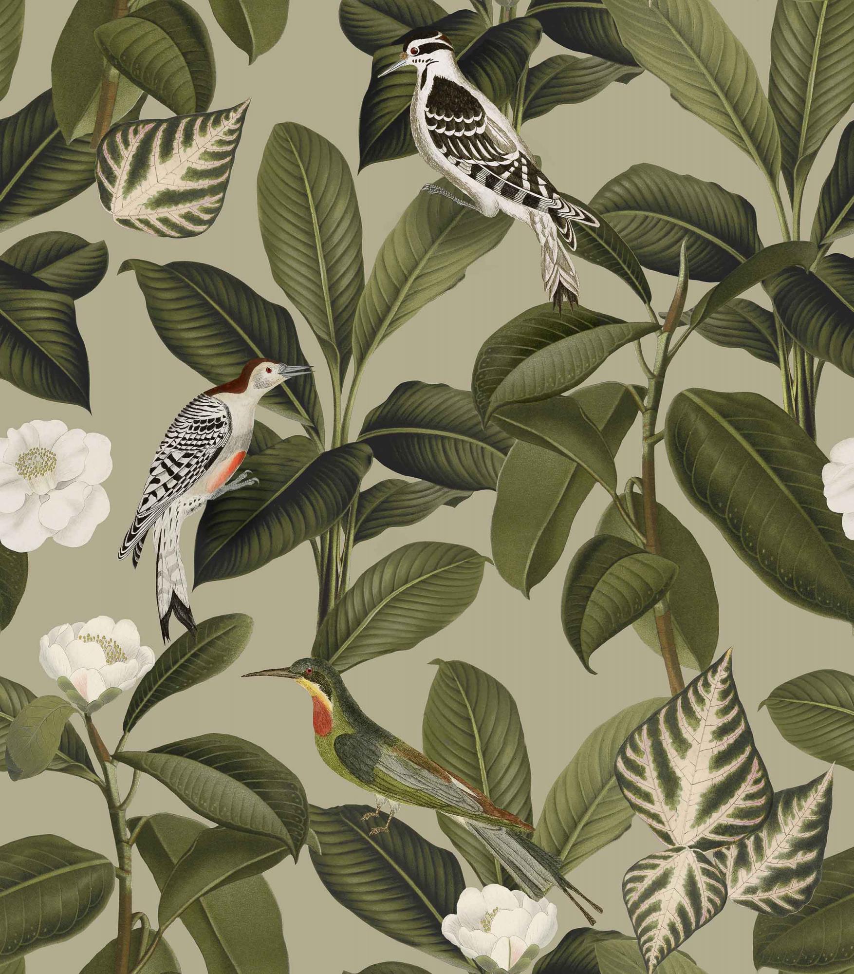 Обои Feria | A00207