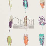 Обои Amazilia | 111073