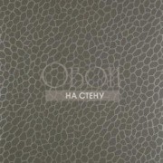 Обои Reflections | W0058_03