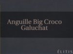 Каталог Anguille Big Croco Galuchat