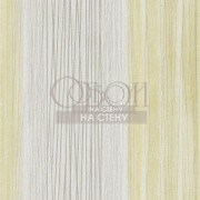 Обои Momentum 4 | 111568