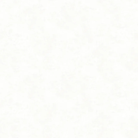 Обои Palazzo Ragione | 7025-2