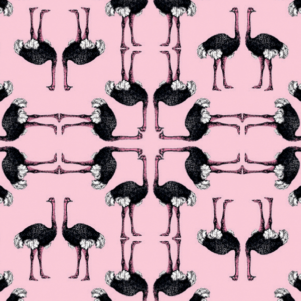 Обои La Tapicera | WP181052