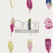 Обои Amazilia | 111076