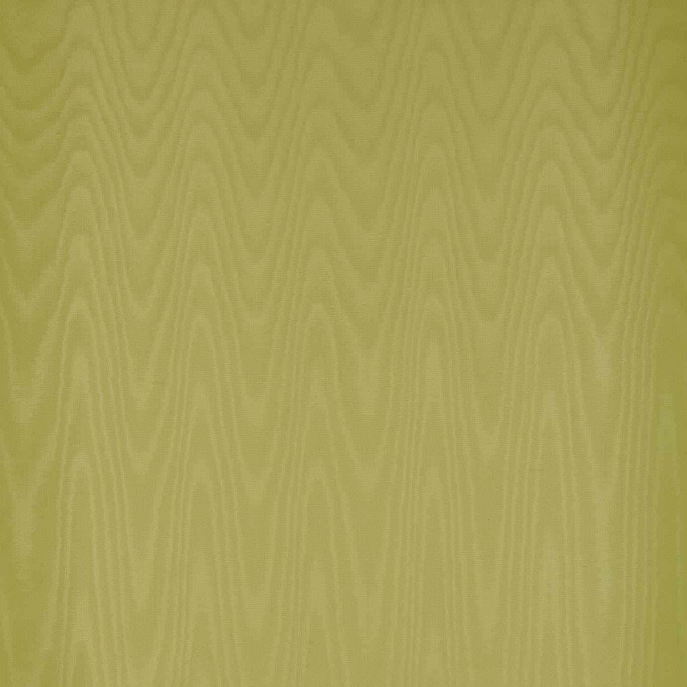 Обои MOIRÉ | 313073