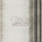 Обои Momentum 4 | 111563