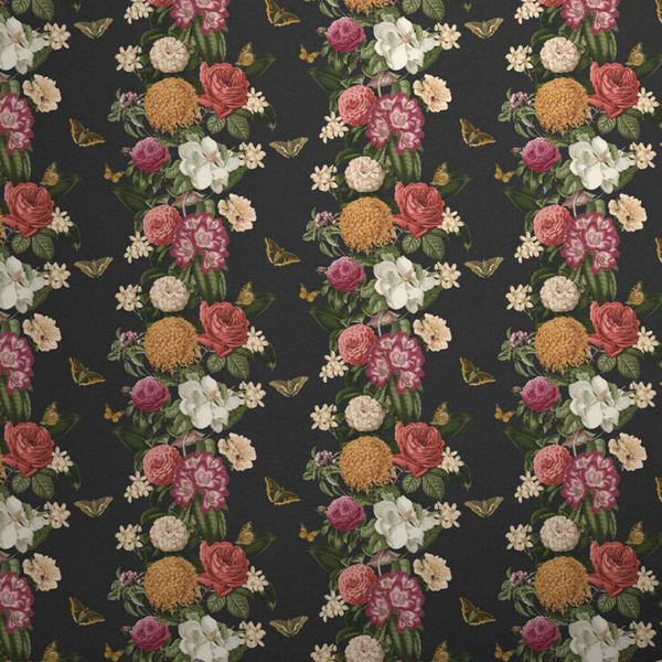 Обои Explorer | 107888