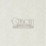 Обои Momentum 4 | 111589