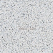 Обои Tulipa Stellata | pdg1031-06