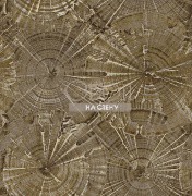 Обои Carl Robinson 15 | cr76006