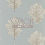 Обои Woodland Walk | 215702