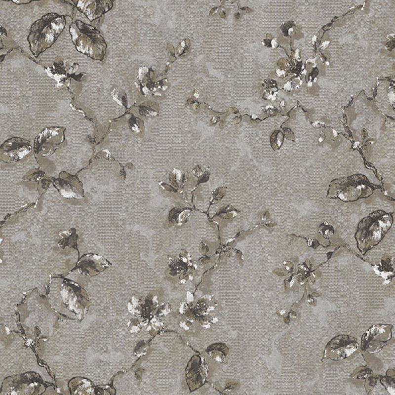 Обои Accademia | Z10901