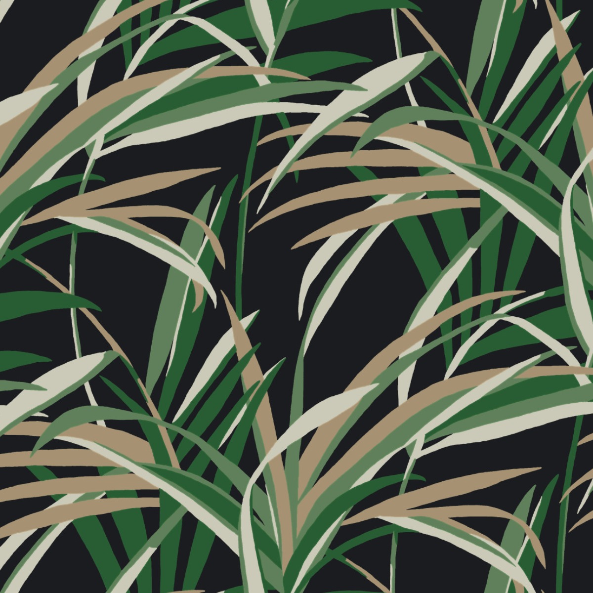 Обои Tropics Resource Library | TC2606