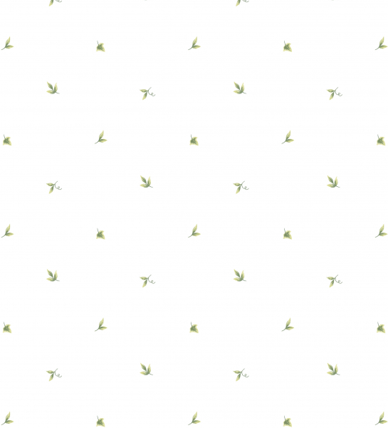 Обои Creative Kitchens | CK36600