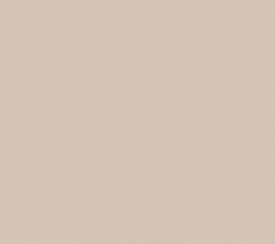 Обои Загадочный лес | IMG5 001-2