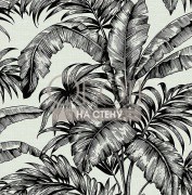 Обои Sage 2 | sg41400