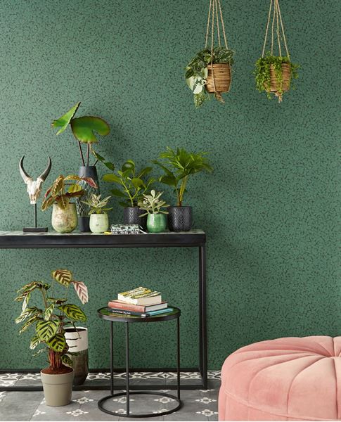 Обои Carmen | 392554