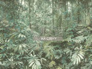 Обои Carl Robinson 15 | cr78100m