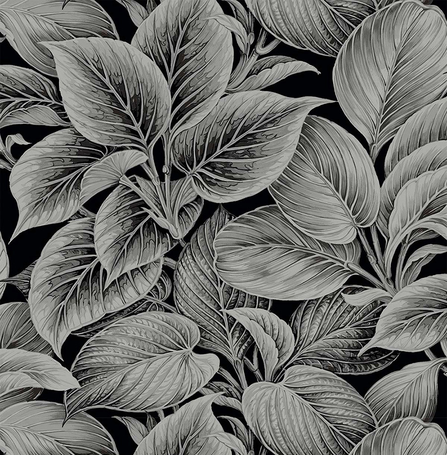 Обои Shades of White | ws70300