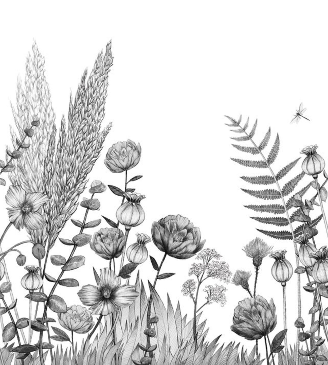 Обои Panoramas | 74931120